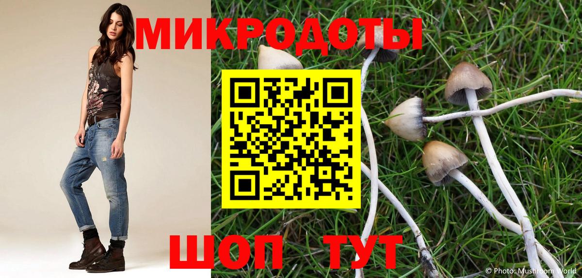 Псилоцибиновые грибы MAGIC MUSHROOMS  Вход с VPN  Владивосток 